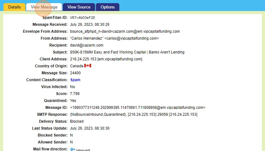 Screenshot of: A pop-up box will display the Details to you. From here you may click "View Message", "View Source", or "Options" to change the view. 